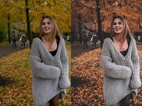 FashionPhotoLab Autumn Presets - before-after - preset 5